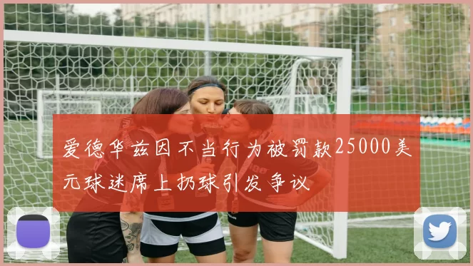 爱德华兹因不当行为被罚款25000美元球迷席上扔球引发争议
